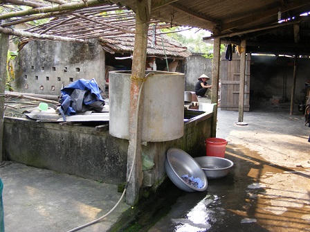 Người bỏ làng, nhà bỏ hoang vì “bão“ ung thư